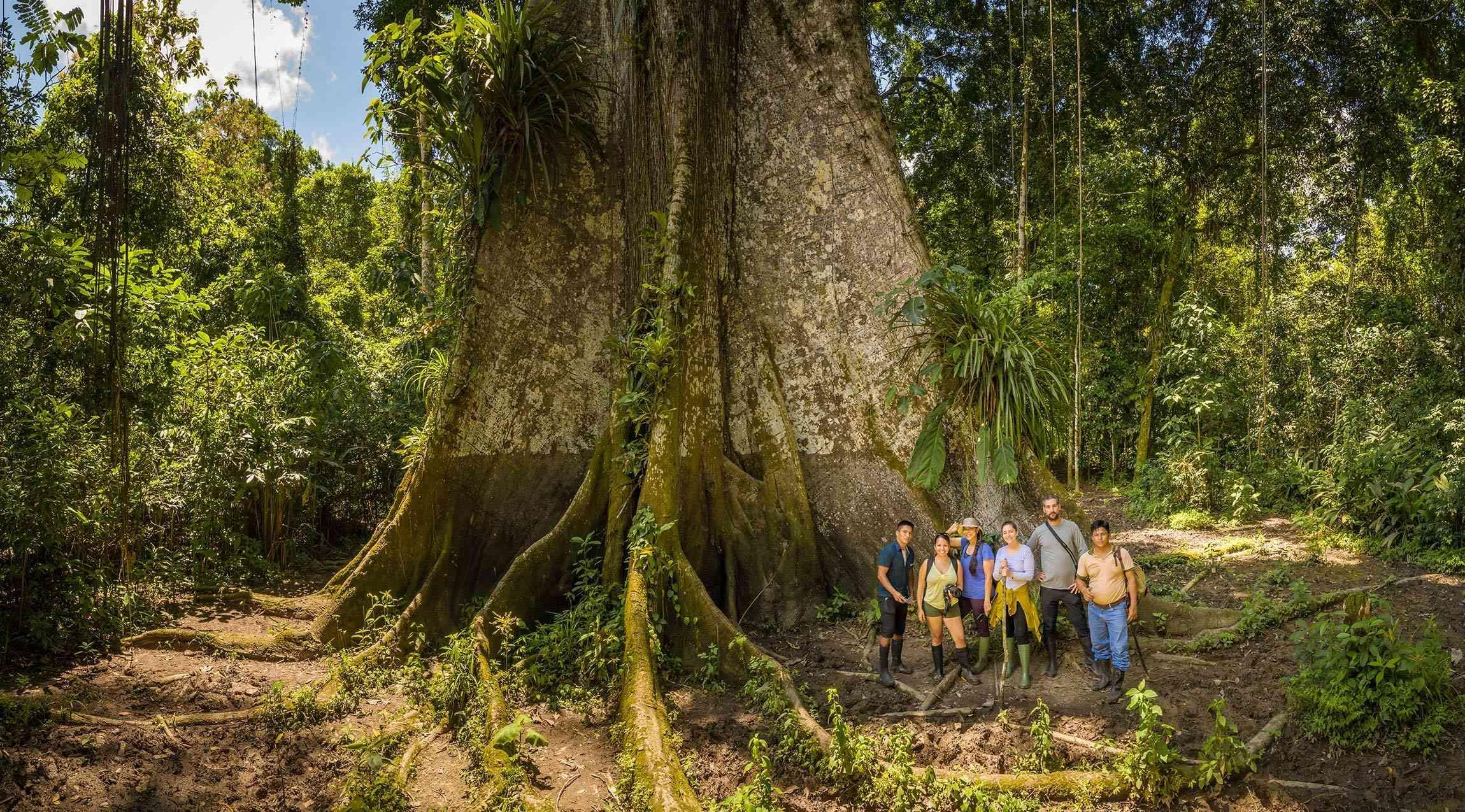 Experiencia Vivenciales