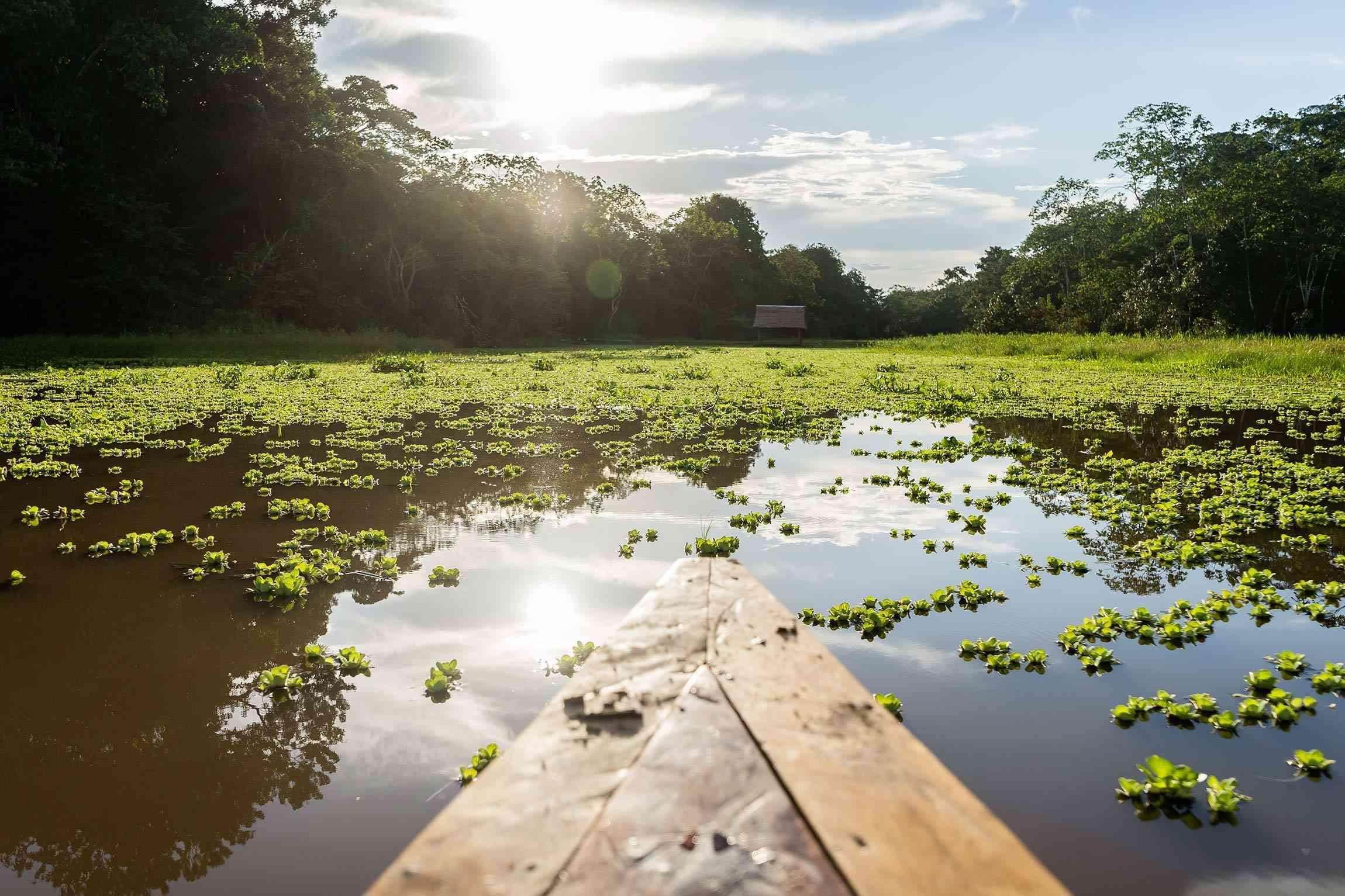 Paquetes Experiencias