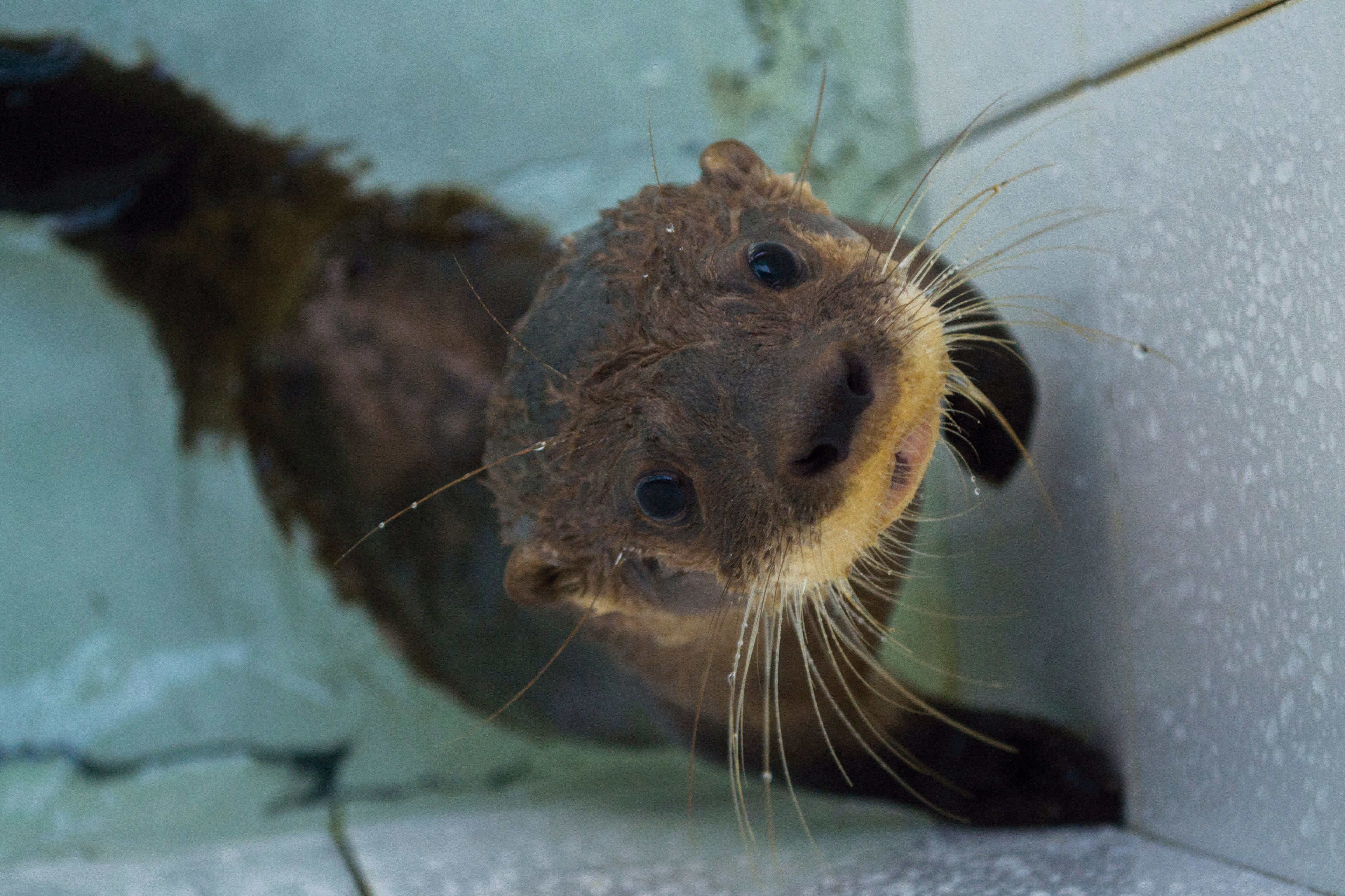 Experiencia 3D/2N - All Inclusive