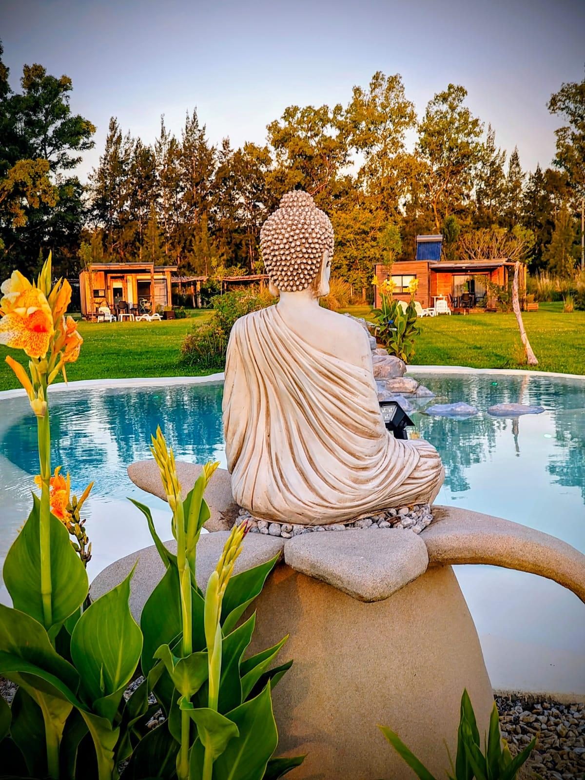 Promoción por 4 noches obtienes un 50 % de descuento !!!