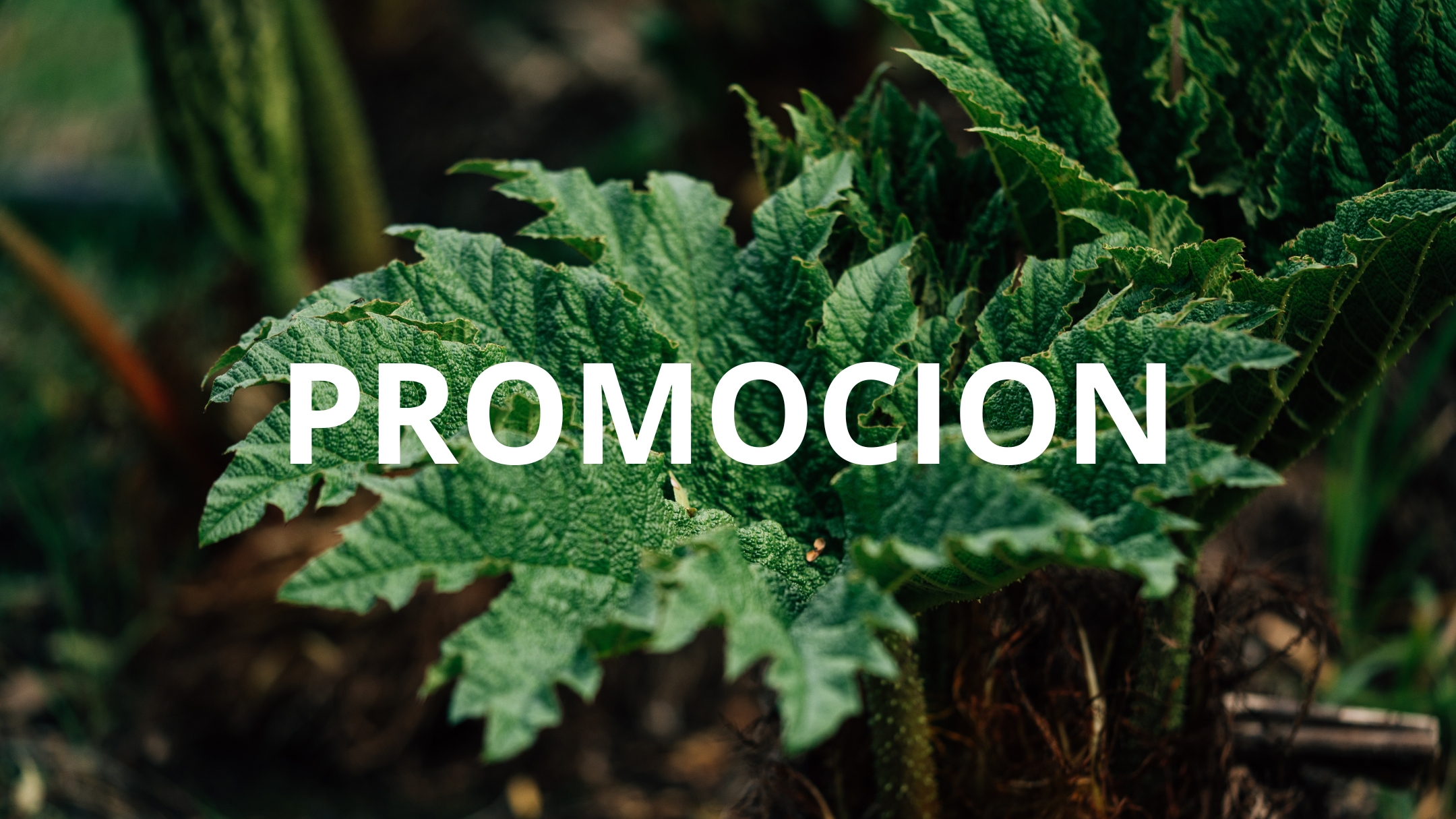 10% OFF MAYO JUNIO 